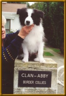 Mickey at Clan-Abby