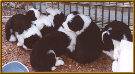 Isn't the boy in the background looking relaxed?