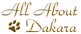 All About Dakara Border Collies